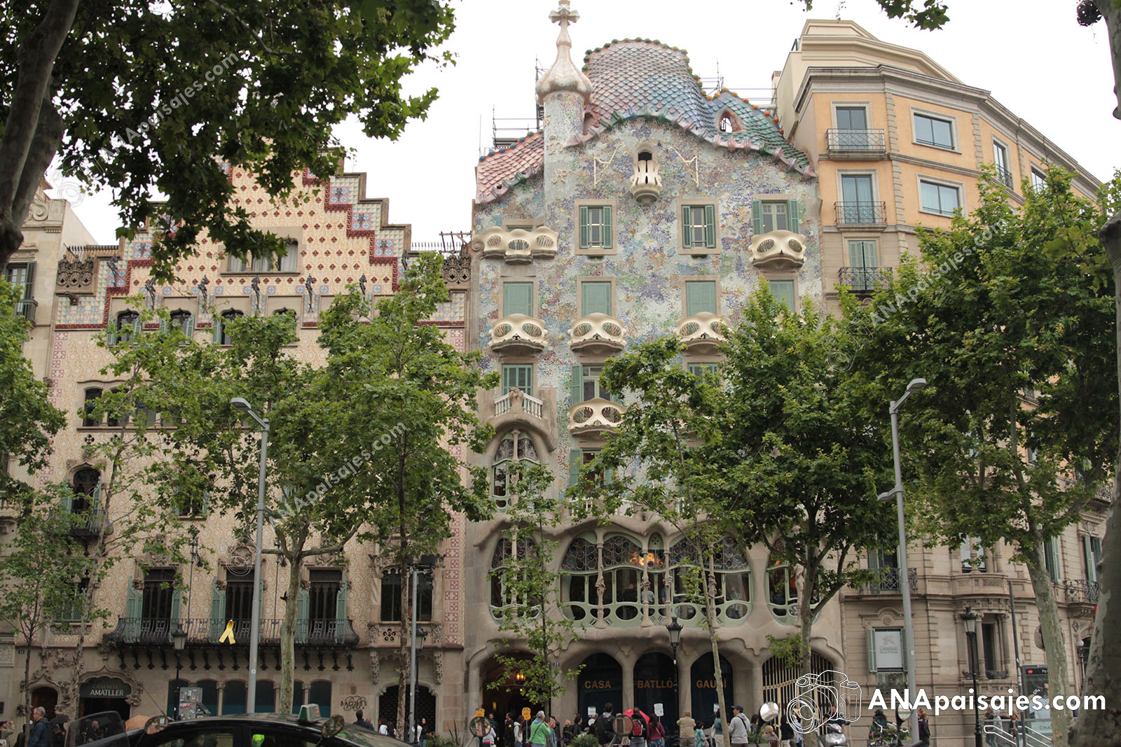 BCN19-0020
