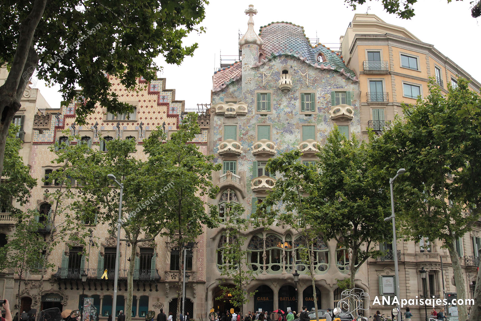 BCN19-0021