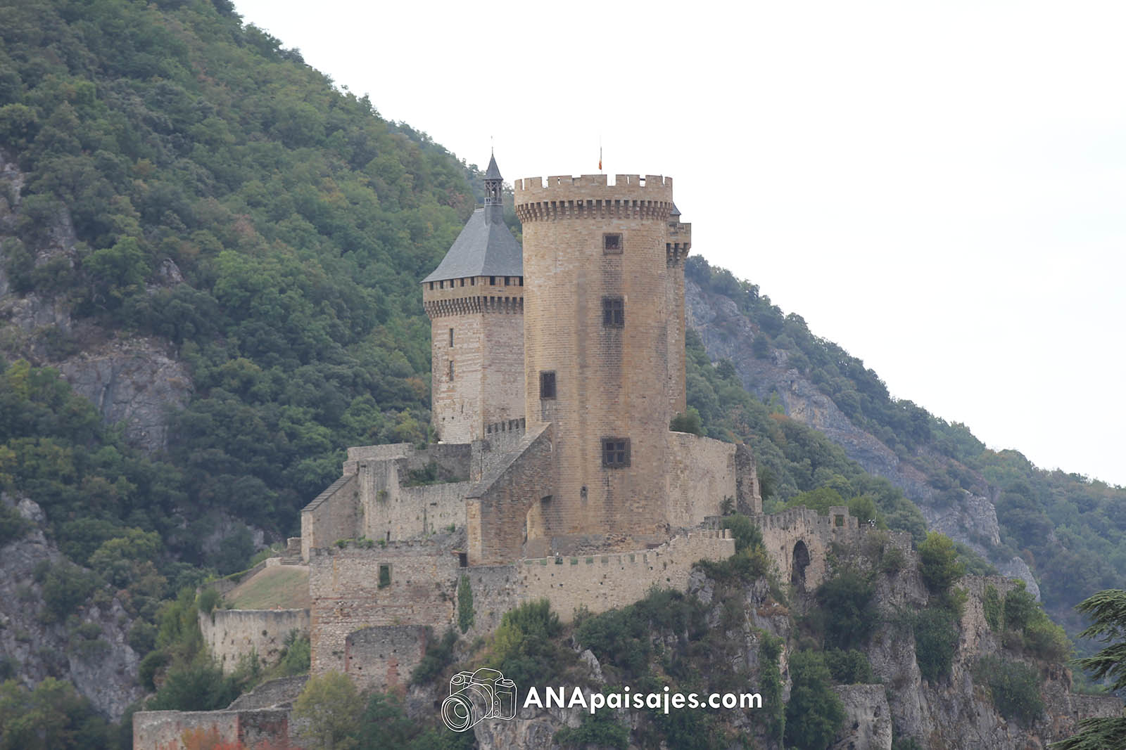 CHTX_0006