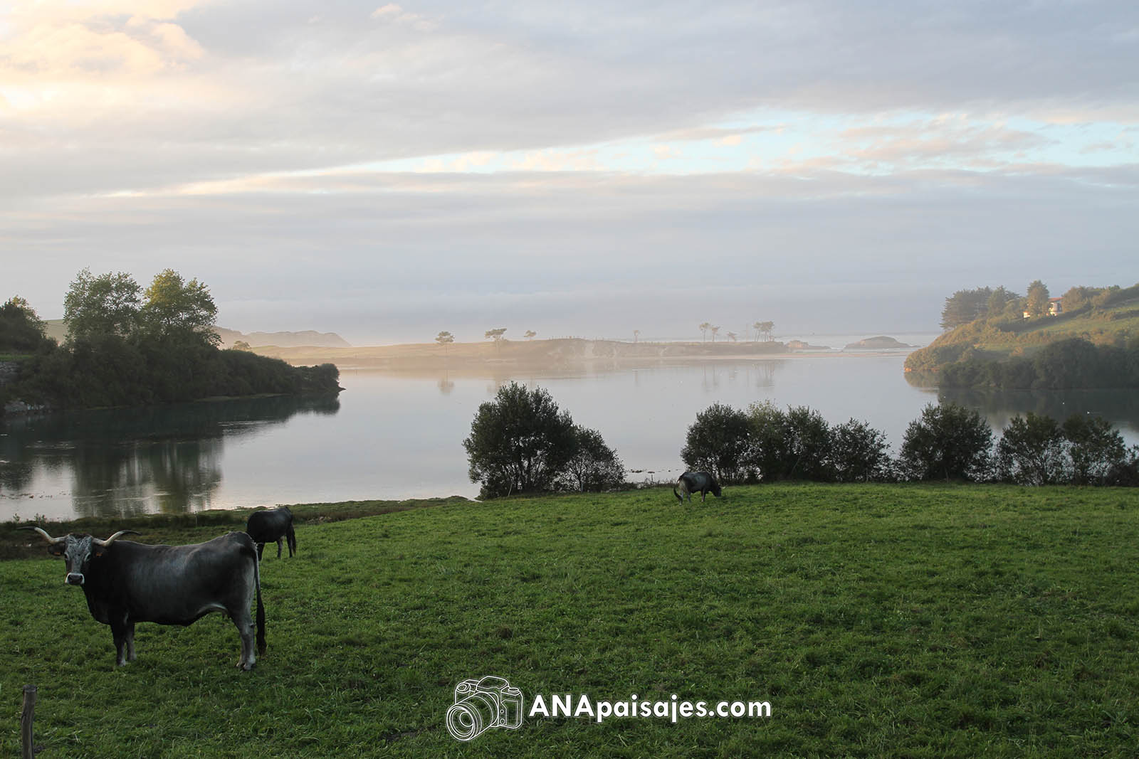 Comillas