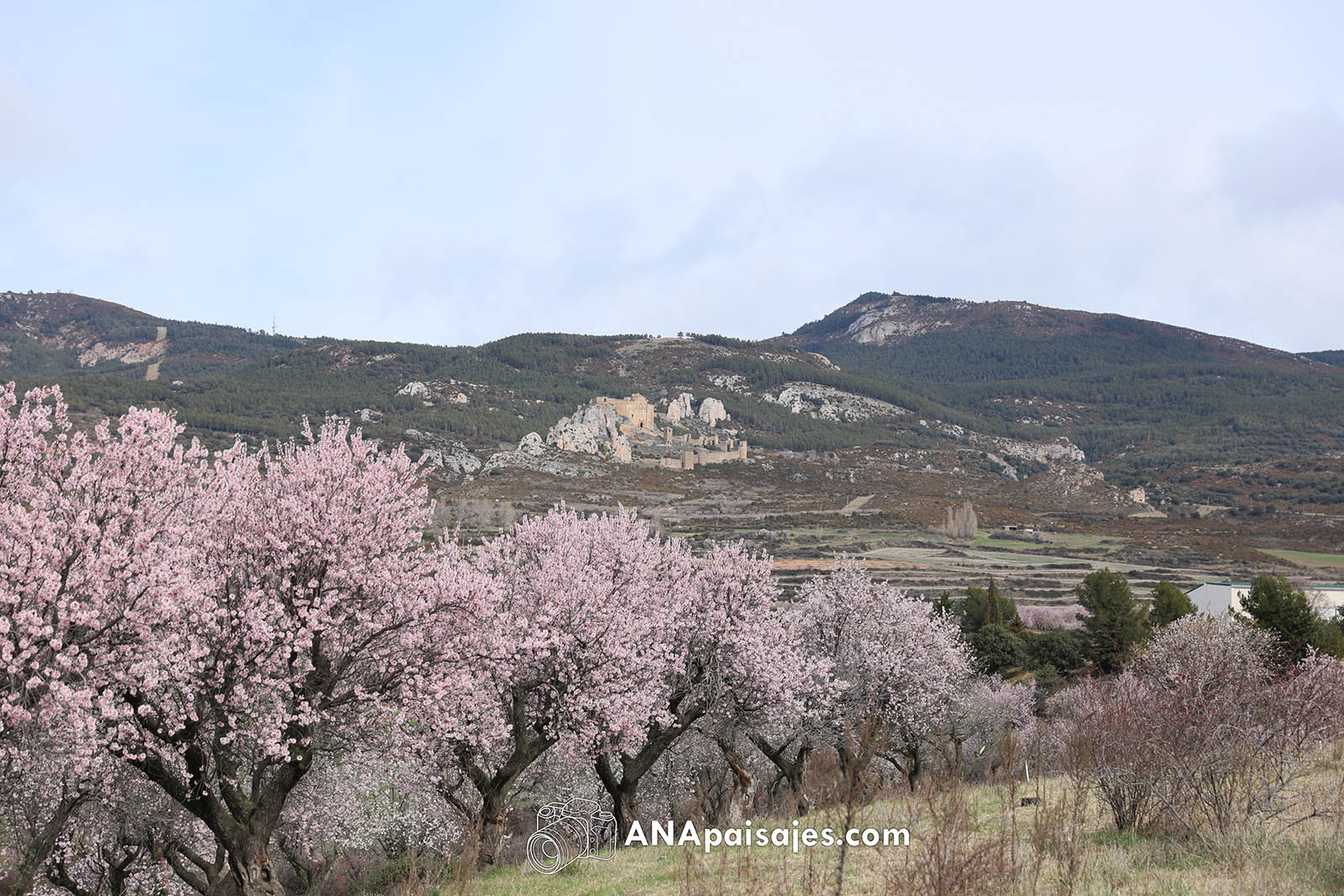 HUES2-0001